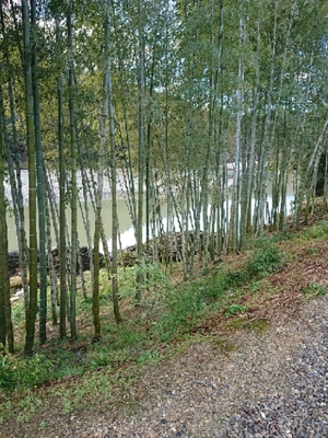 20190314154837133.jpg