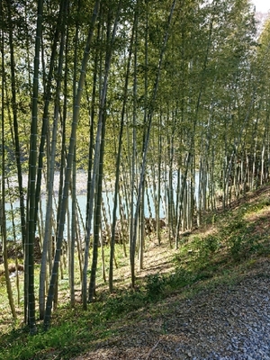 20190314154901651.jpg