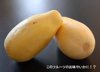 20080804.jpg