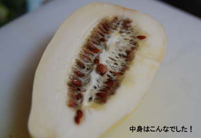 20080806.jpg
