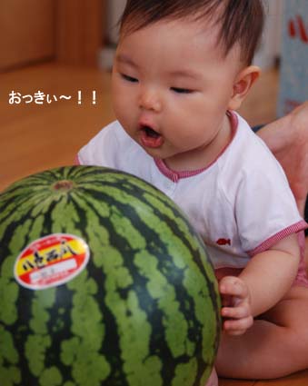 20080809.jpg