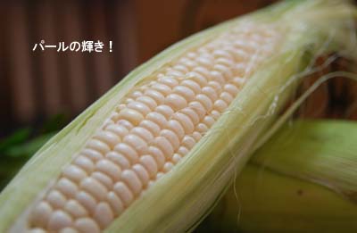 20080811.jpg