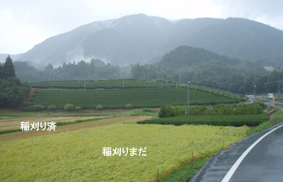 20080826.jpg