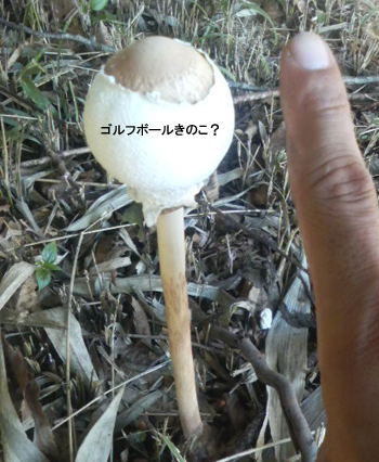20080831.jpg