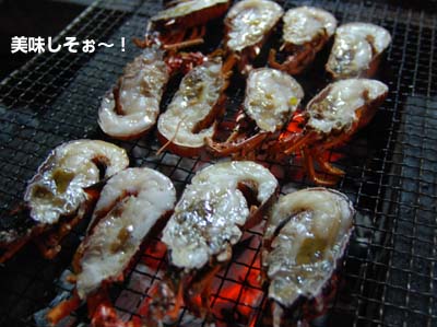 20090315_2.jpg