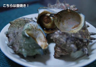 20090317_2.jpg