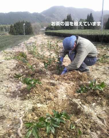 20090319.jpg