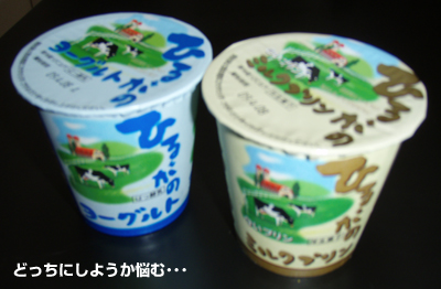 20090327.jpg