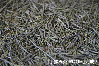 20090330_3.jpg
