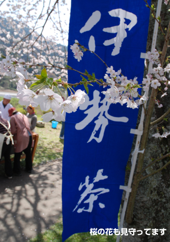 20090406_2.jpg