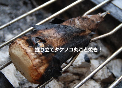 20090421_1.jpg