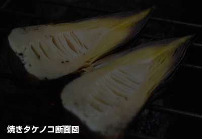 20090421_2.jpg