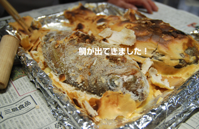 20090424_2.jpg