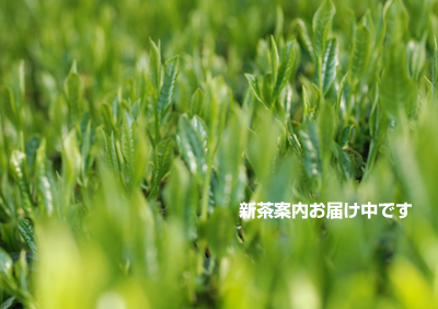 20090425.jpg