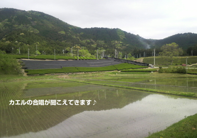 20090426.jpg