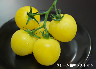 20090511.jpg