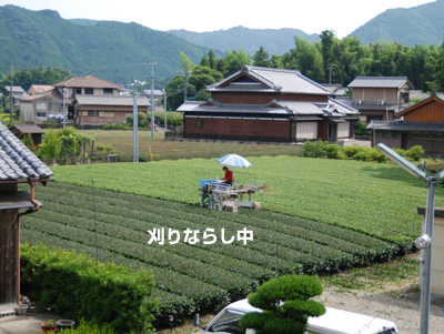 20090704.jpg