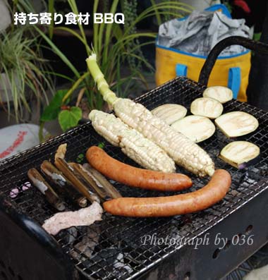 20090727.jpg