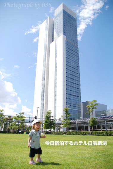 20090823_2.jpg