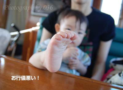 20090823_7.jpg