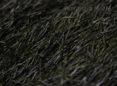 20110524_5.jpg