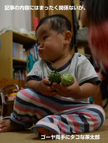 20110915.jpg