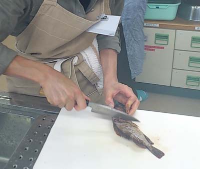 20110926_7.jpg
