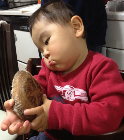 20111207_2.jpg