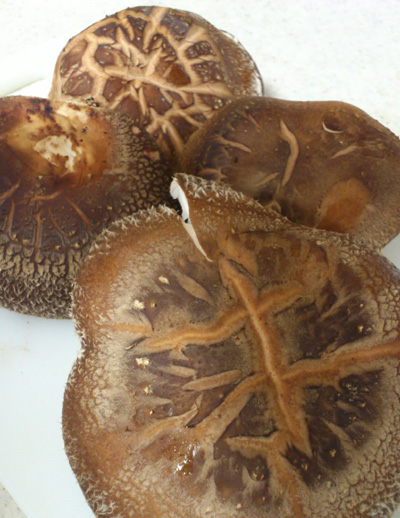 20111207_3.jpg