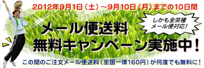 20120901_4.jpg