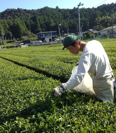 20120928_2.jpg