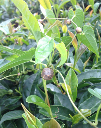 20120928_3.jpg