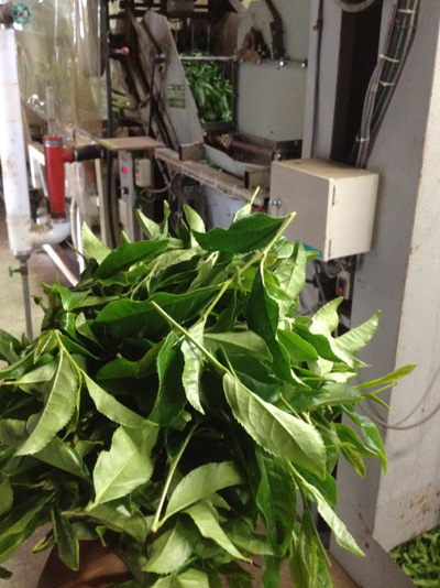 20120929_2.jpg