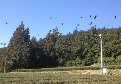 20130325_2.jpg