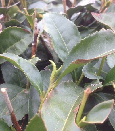 20130327_2.jpg