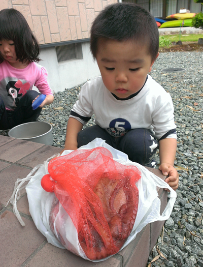 20130524_1.jpg