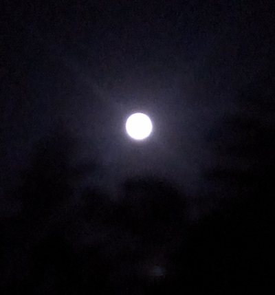 20130526_1.jpg