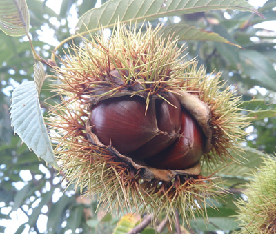 20130915_1.jpg