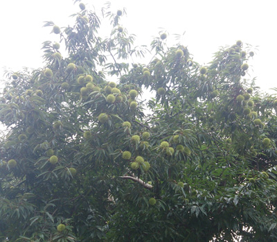 20130915_3.jpg
