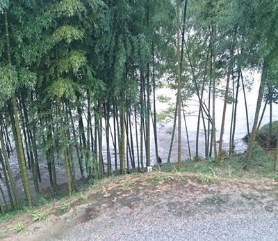 20130916_1.jpg