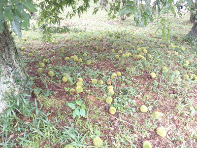 20130917_3.jpg