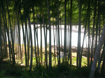 20130926_2.jpg