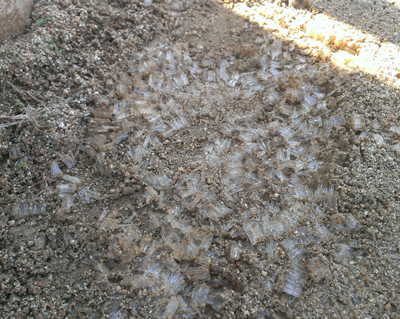 20140112_2.jpg