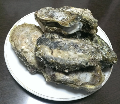 20140112_5.jpg