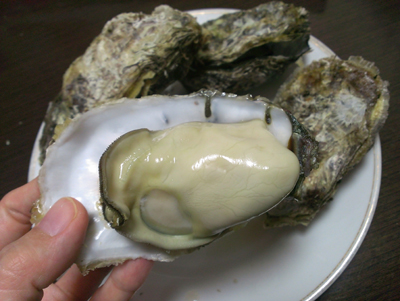 20140112_6.jpg