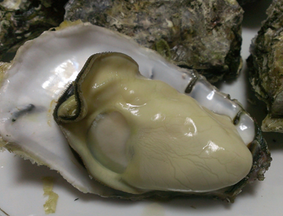 20140112_7.jpg