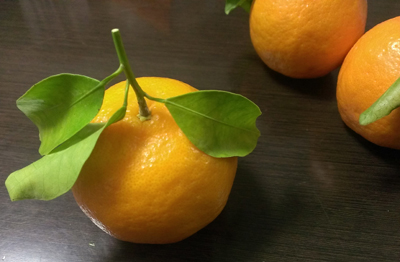 20140114_0.jpg