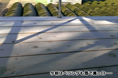 20140116_2.jpg