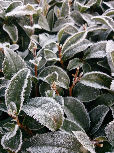 20140128_2.jpg