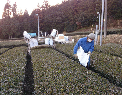20140212_7.jpg